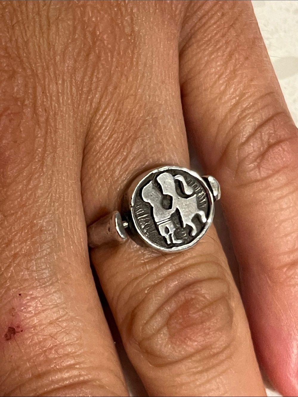 Sterling Silver Sunflower Signet/kissing Ring - Silver - Picture 2 of 6